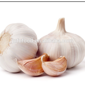 fresh style and liliaceous vegetables product type fresh garlic specification